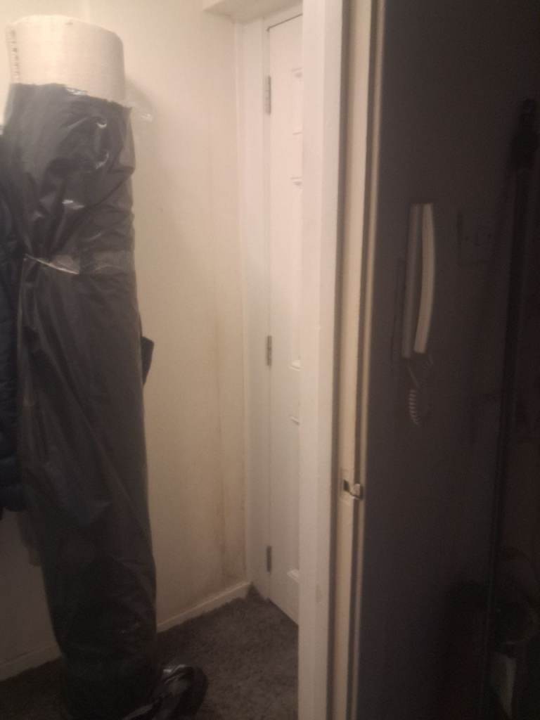 New biege carpet for sale £25