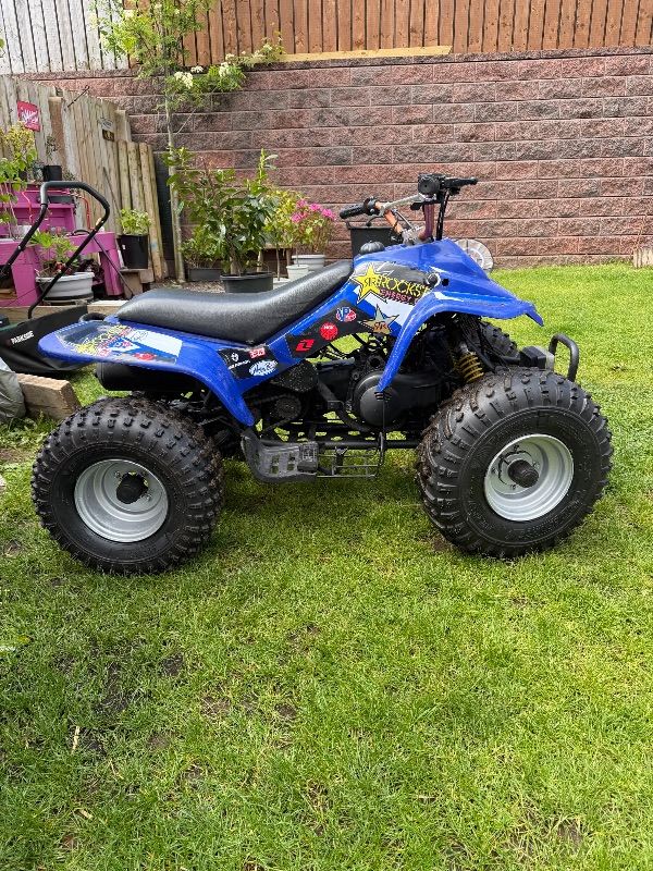 Quadzilla 100cc 2 stroke 