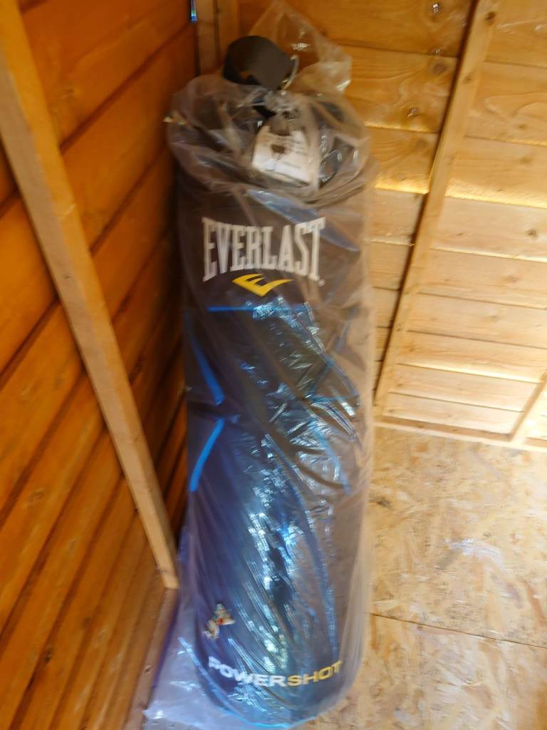 Everlast punch bag