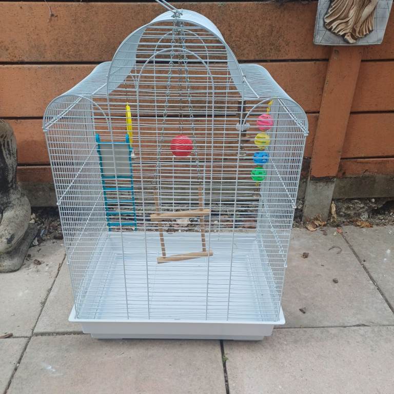 Bird cage 