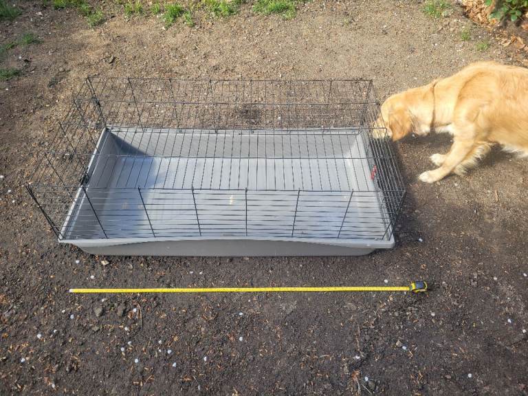 Guinnea pig cage - free