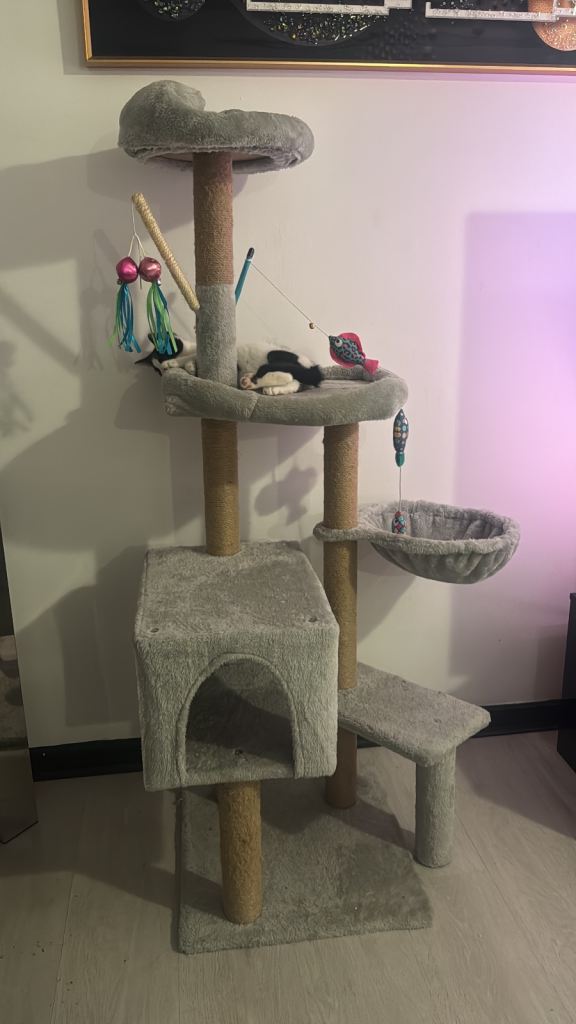 Cat tree