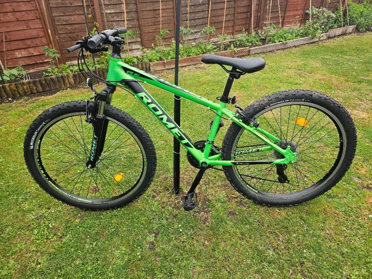 Adult bike 