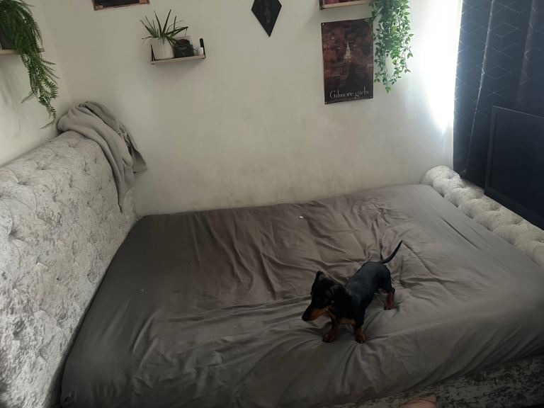 Double bed (no mattress) 