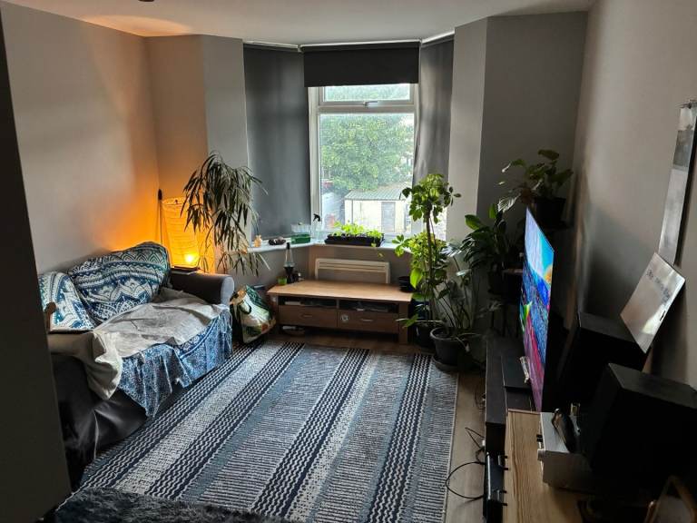 1 Bed Flat Modern Refurbed Albany Rd Cardiff
