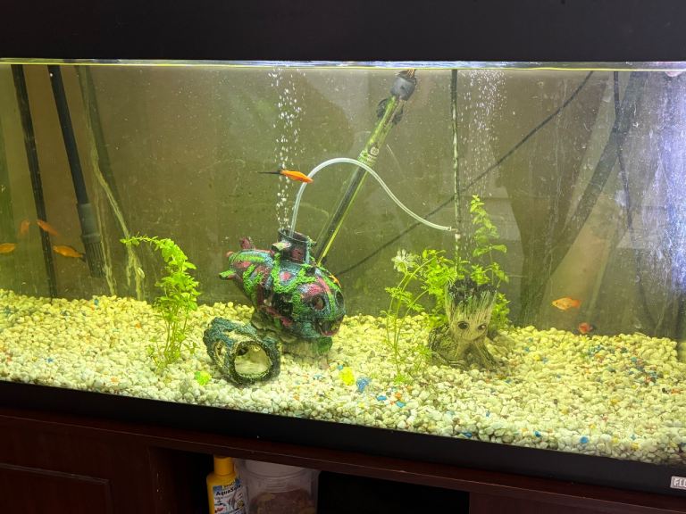 Large Aquarium Fish Tank with Accessories