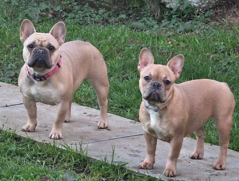 Mother & daughter must go together 