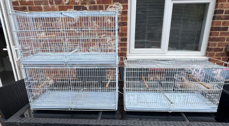 Two Used Bird Cages with Perches and Trays for breeding 