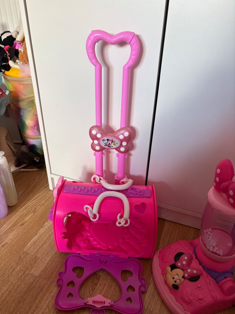 Minnie Mouse cat carrier
