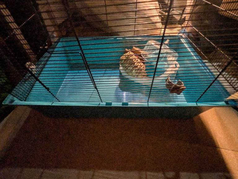 Hamster Cage & Accessories Bundle - Fully Cleaned & Ready To Go! - G77