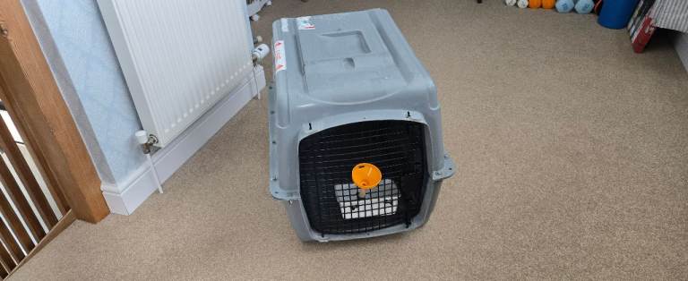 Robust Fibre Glass Pet Carrier for Air or Sea Freight