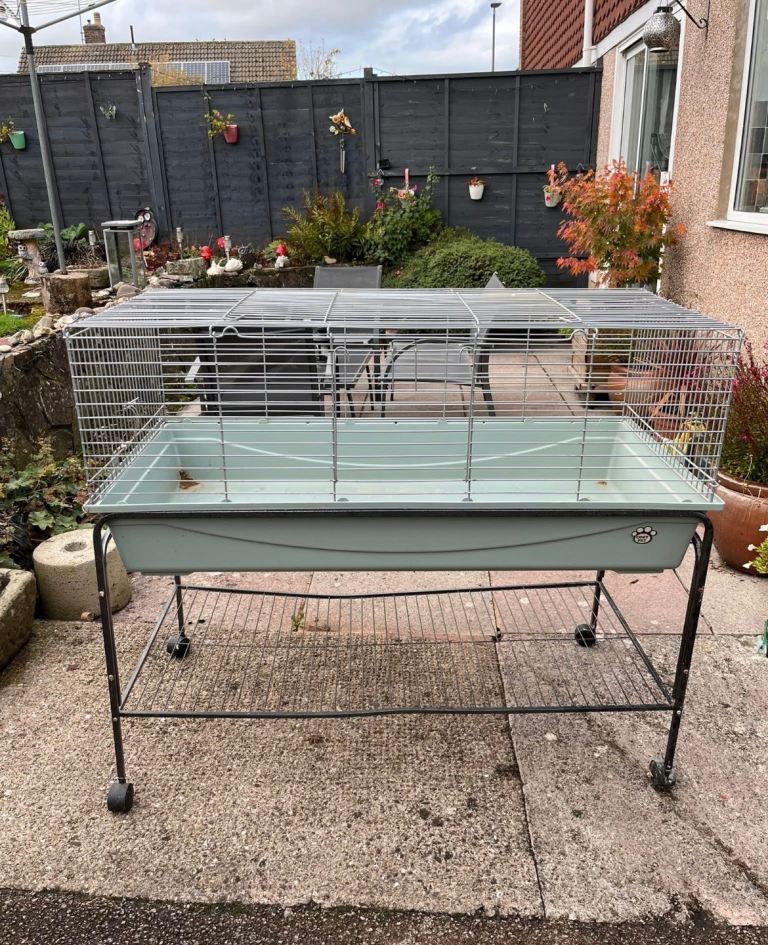 guinea pig cage 