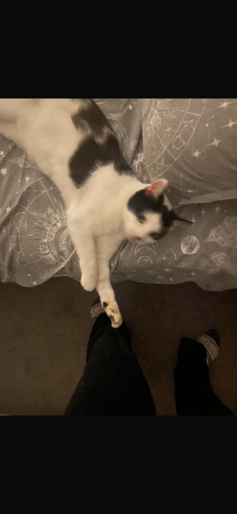Sad but urgent sale