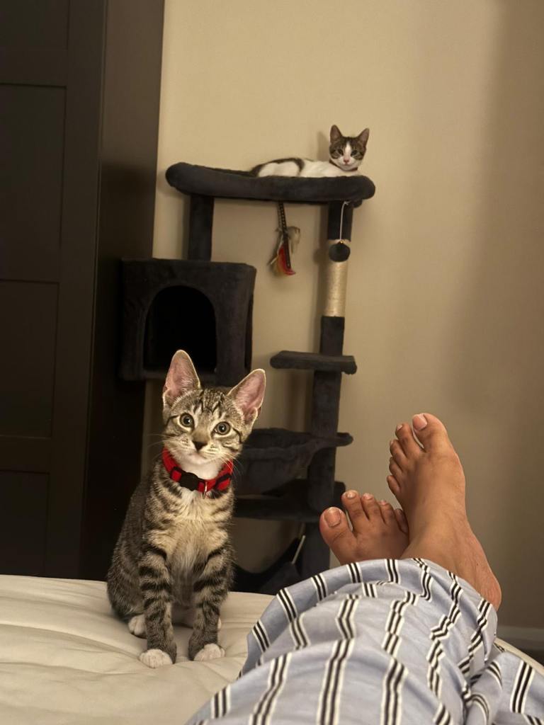 Kiki 