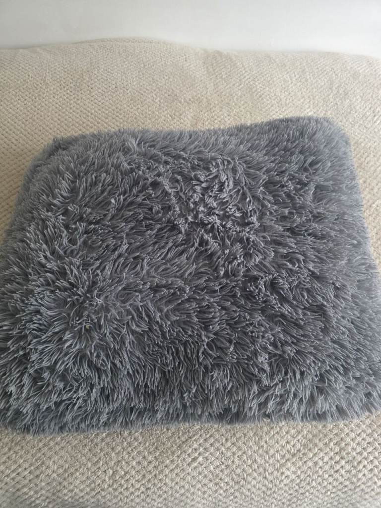 Free medium sized dog bed