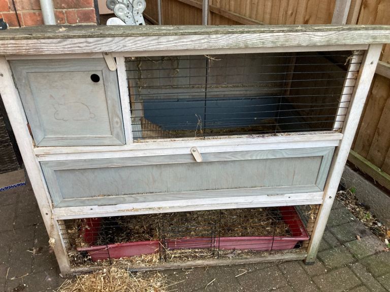 Free Guinea pig/rabbit hutch