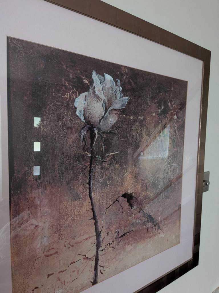 Framed Rose Wall Art – Dark Tones, Good Condition