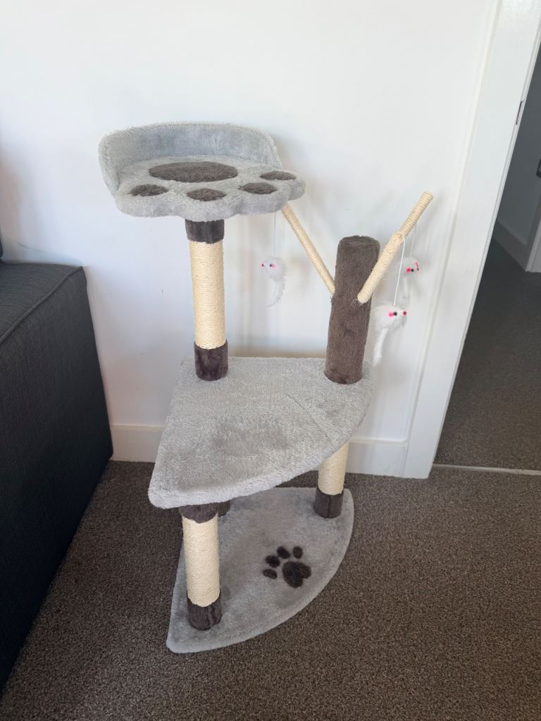 Cat post