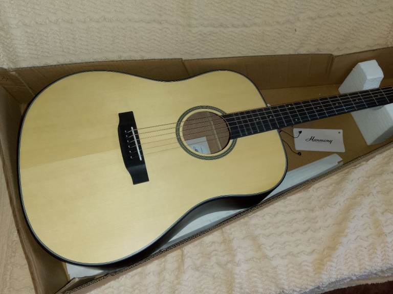  Harmony Foundation Series Terra ST Dreadnought Acoustic