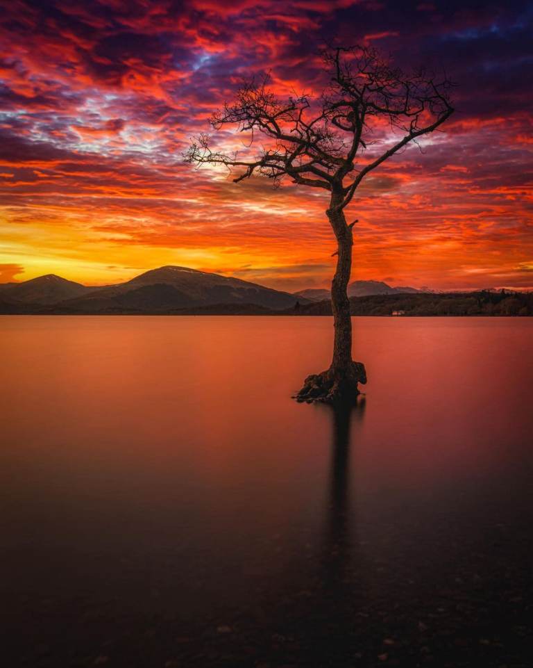 URGENT ANYWHERE - EX B&B COUPLE NEEDING ROOM