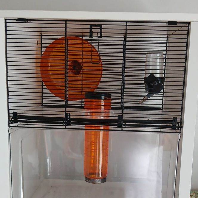 Omlet Hamster 🐹 Cage MK 3 