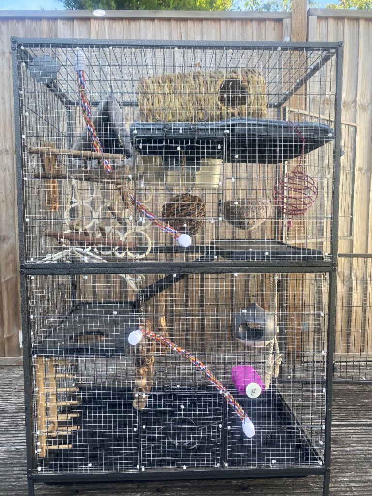 Large pet cage with accessories