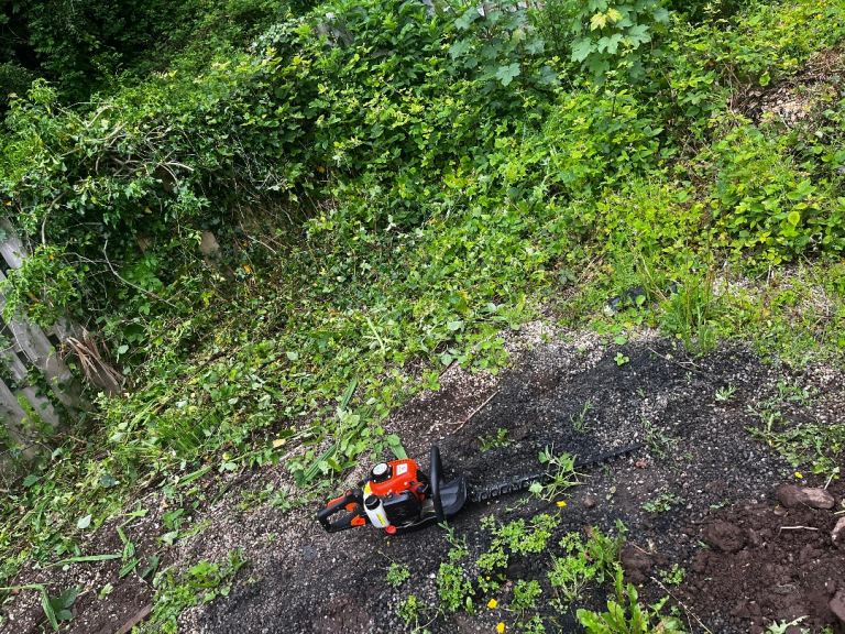 Petrol hedge trimmer hire 