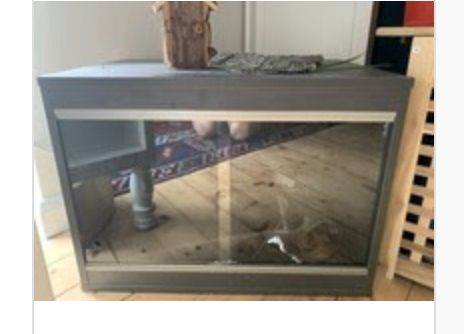 small sized Vivarium for reptiles with accessories
