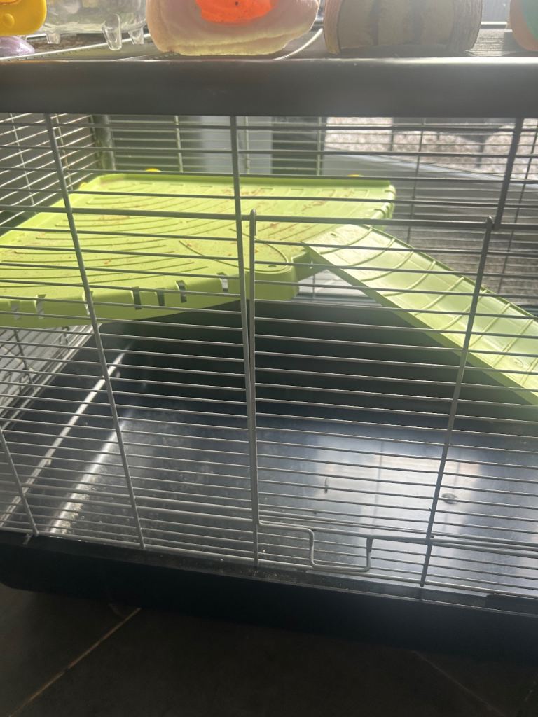 Hamster Cage and Accessories 