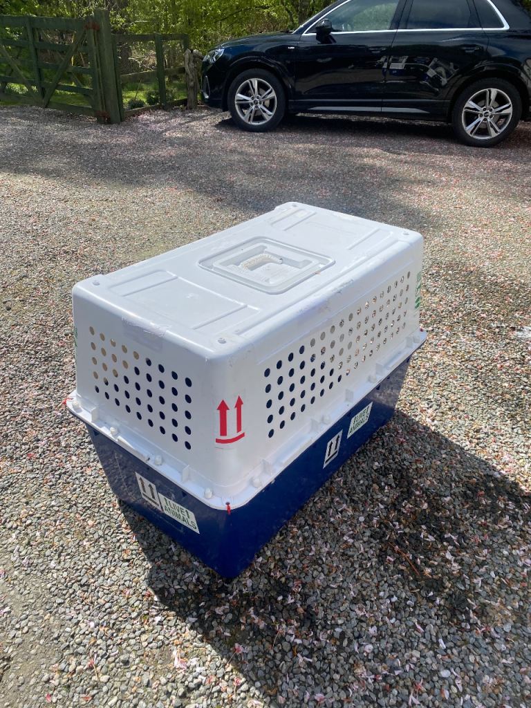 Travel dog crate