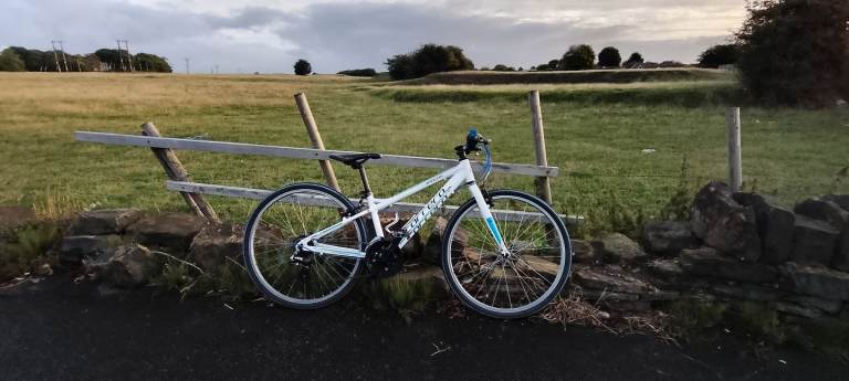 Carrera Saruna Kids Hybrid Bike – Serviced, Ready to Ride