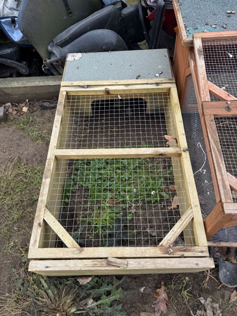 Animal house / run rabbit Guinea pig tortoise 