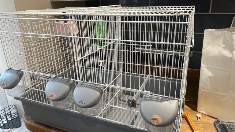 Cage for canary