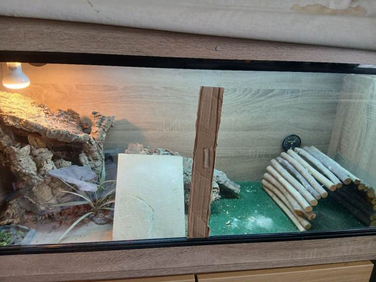 Vivarium 