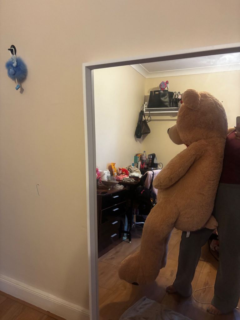 Large teddy 