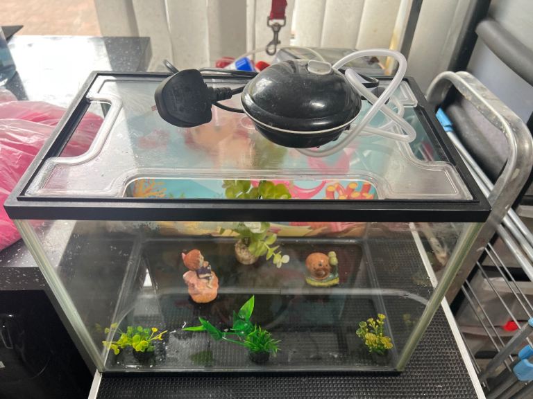 Small fish tank & some decorations