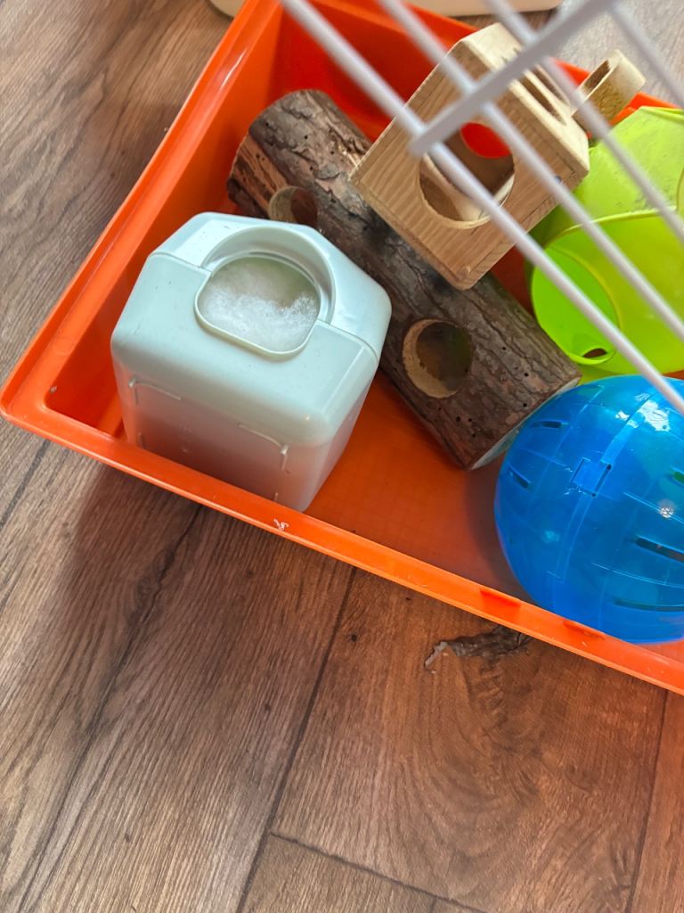 Small  cage all extras 