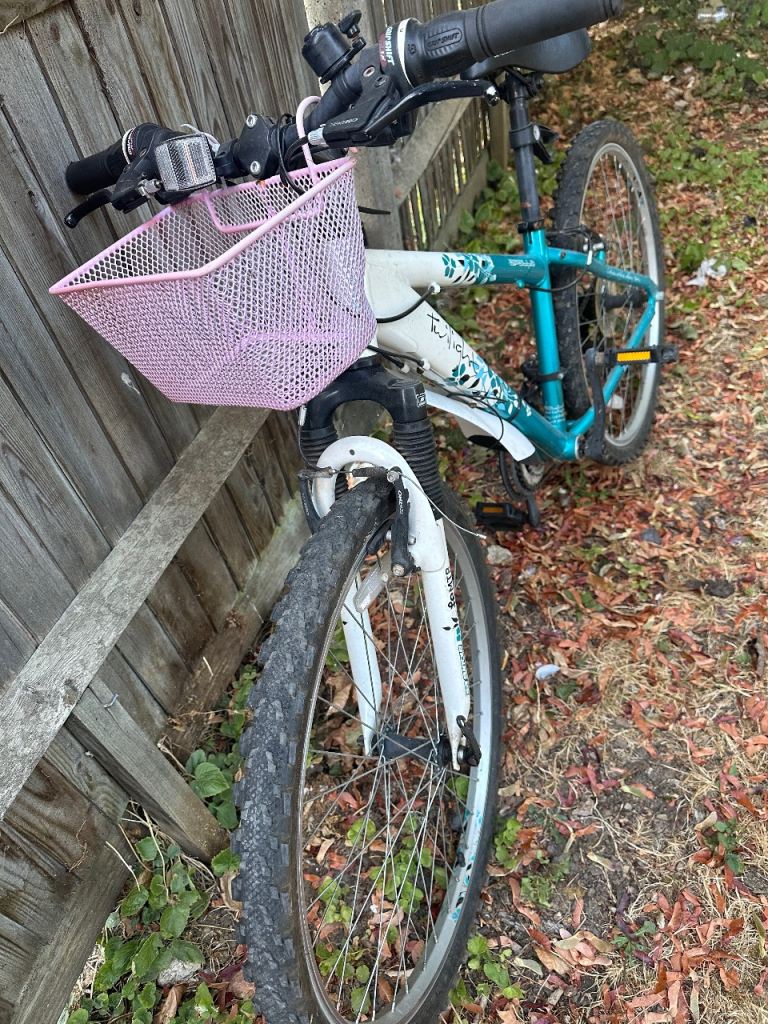 Kids/Small Adult Mountain Bike with Pink Basket – Good Condition