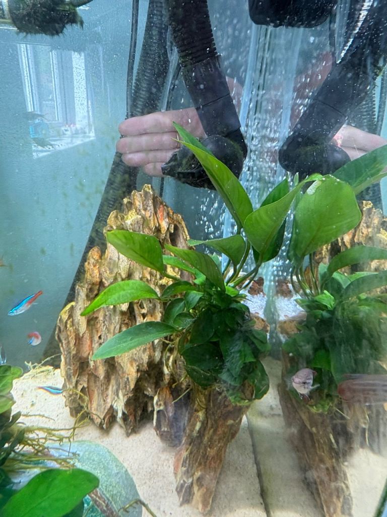 Premium dragon stone for fish tank aquarium  £20 Ono 