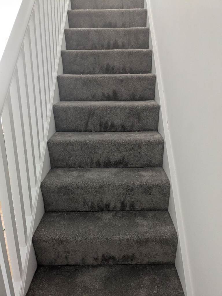 Large, brand new carpet remnant - free!