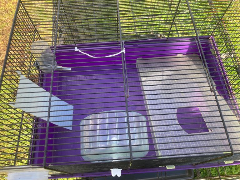 Hamster cage
