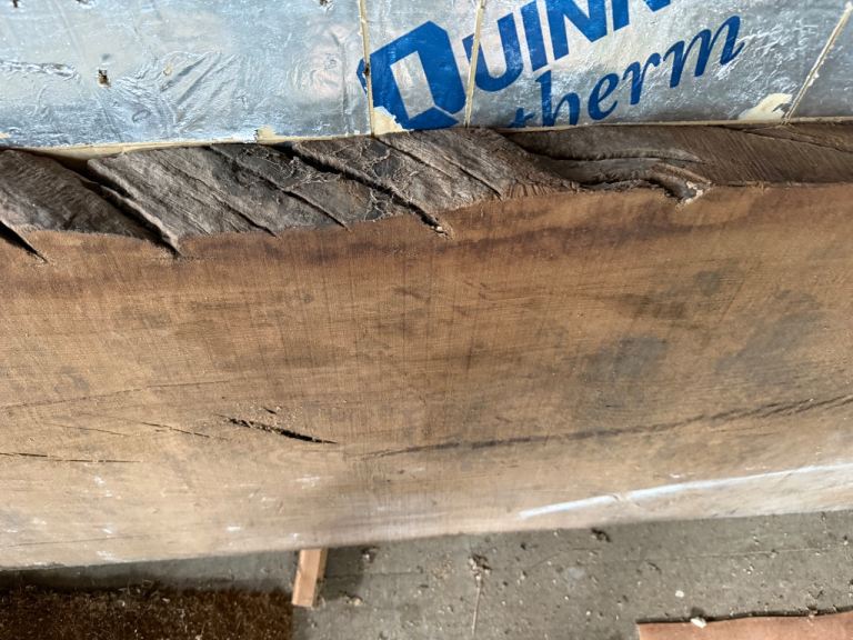 Large piece of oak