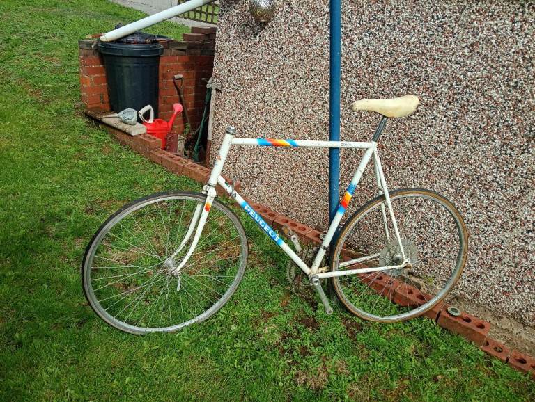 Peugeot Tourmalet project 