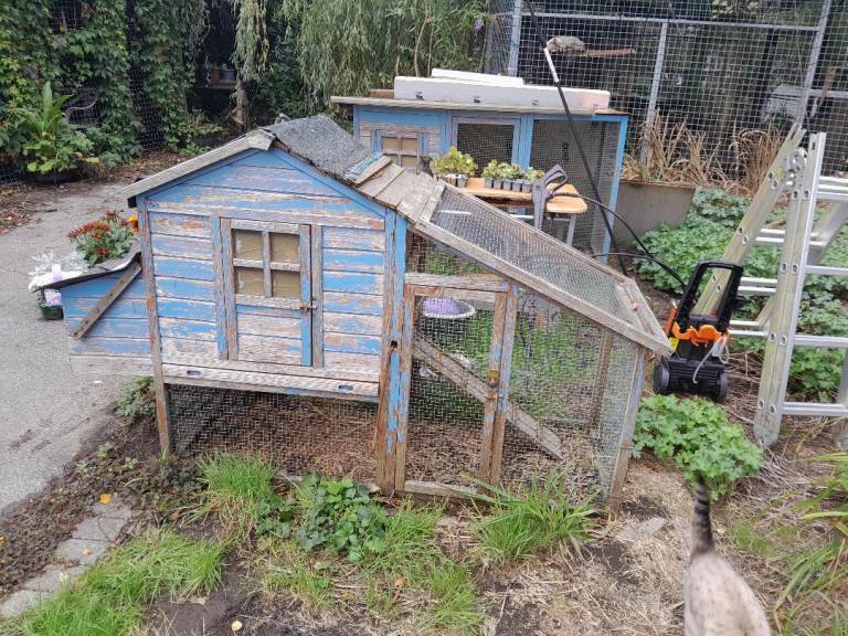 Chicken houses with built in runs x2