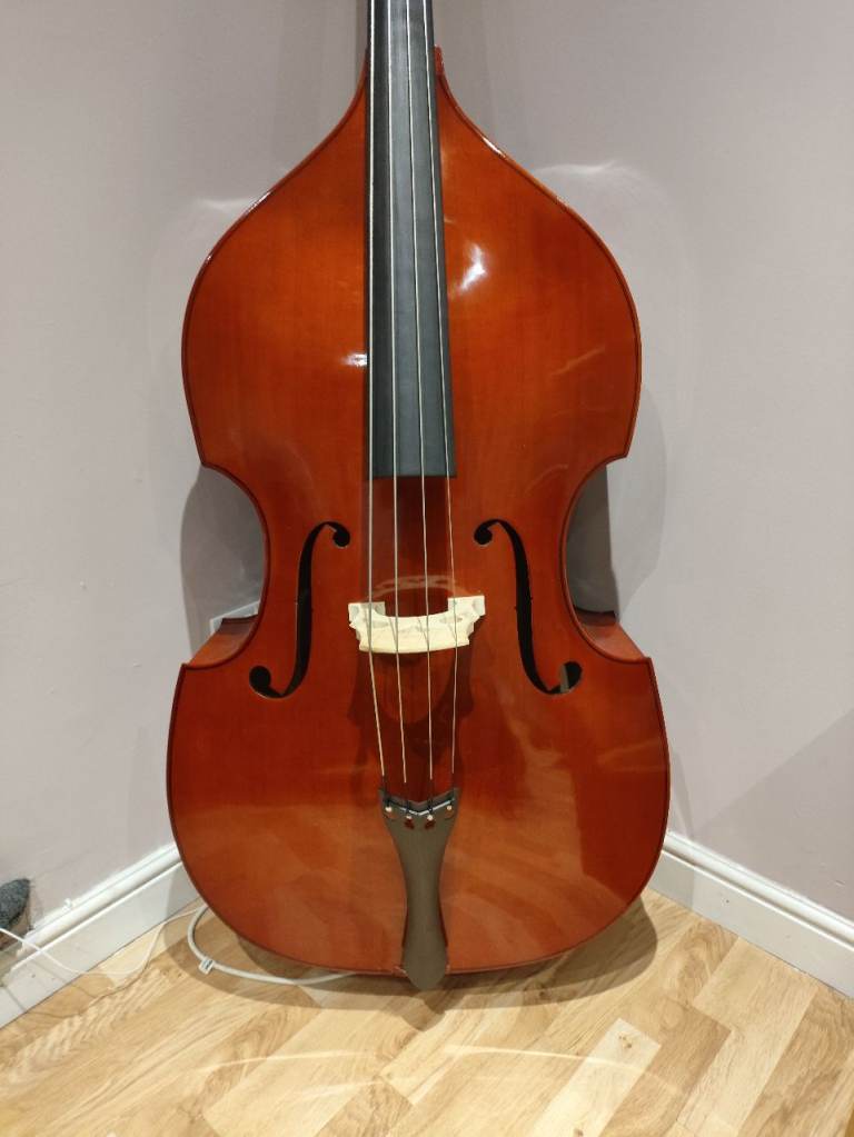 Double bass in perfect condition 