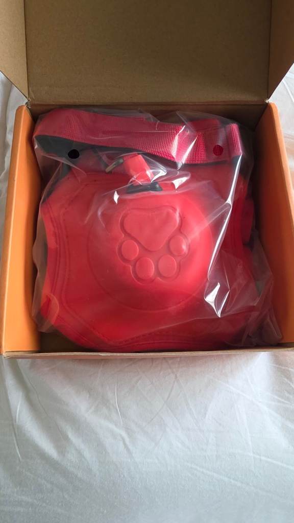 Dog harness and lead