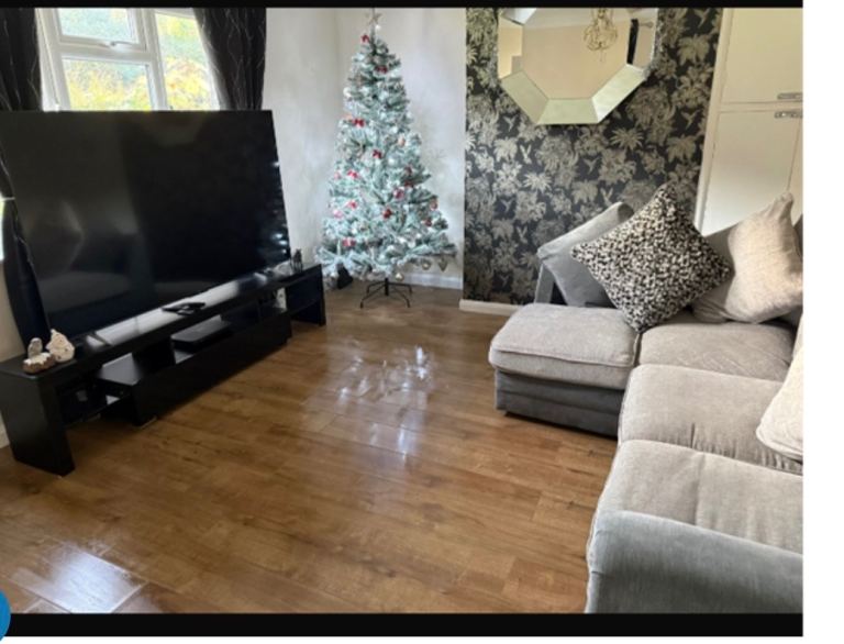 HOMESWAP!! 1 bed ground floor flat in Williton, somerset