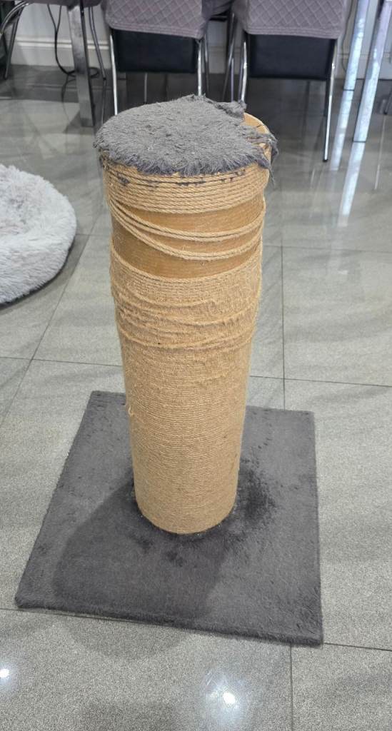 XL Cat Scratch Post & Free Tunnel
