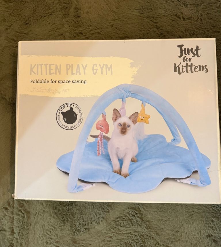 Brand new unopened Kitten Play Gym Toy