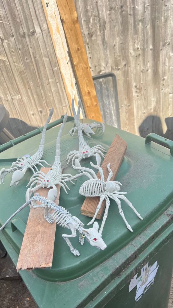 Halloween Skeleton Animal Decorations - Spiders, Scorpions & Mouse